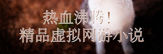 熱血沸騰！精品虛擬網遊小説
